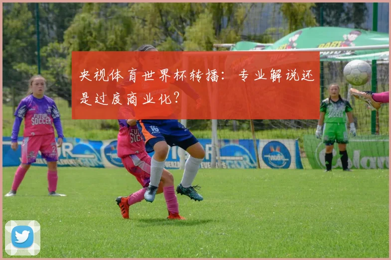 央视体育世界杯转播:专业解说还是过度商业化?