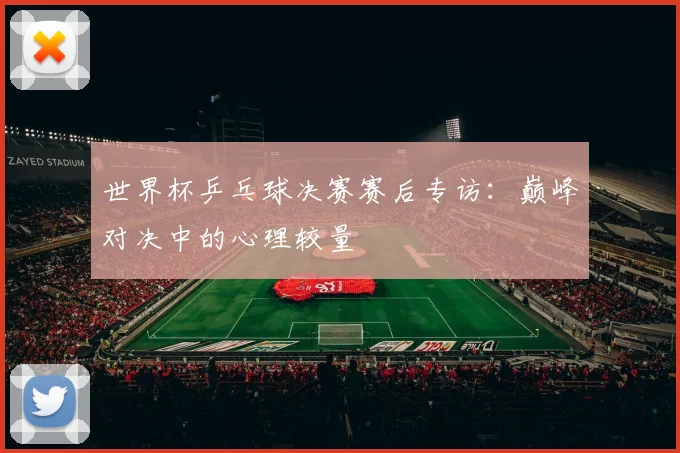 世界杯乒乓球决赛赛后专访：巅峰对决中的心理较量