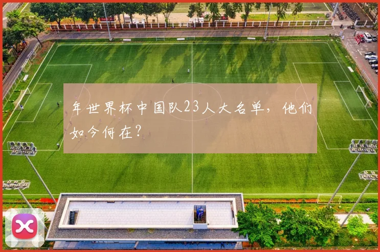 年世界杯中国队23人大名单,他们如今何在?