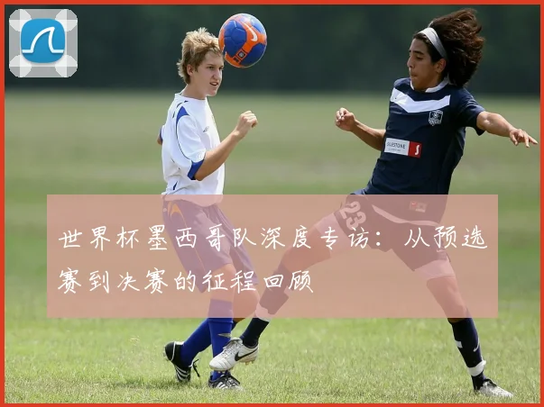 世界杯墨西哥队深度专访:从预选赛到决赛的征程回顾